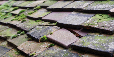 Buckingham roof repair costs